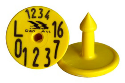 Q1-UHF–B