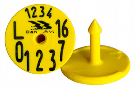 Q1-UHF–D1